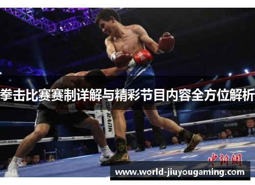 拳击比赛赛制详解与精彩节目内容全方位解析