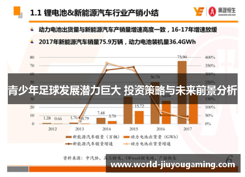 青少年足球发展潜力巨大 投资策略与未来前景分析