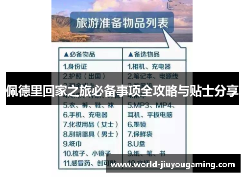 佩德里回家之旅必备事项全攻略与贴士分享