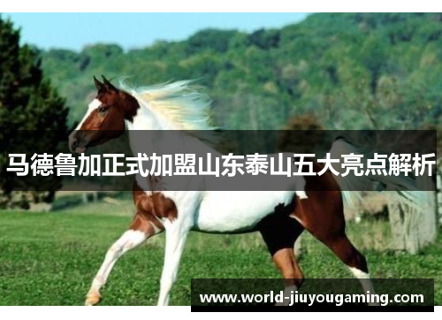 马德鲁加正式加盟山东泰山五大亮点解析