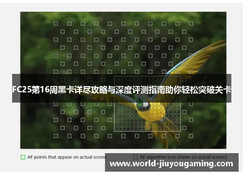 FC25第16周黑卡详尽攻略与深度评测指南助你轻松突破关卡 FC25第16周黑卡详尽攻略与深度评测指南助你轻松突破关卡