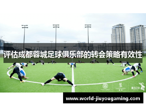 评估成都蓉城足球俱乐部的转会策略有效性 评估成都蓉城足球俱乐部的转会策略有效性