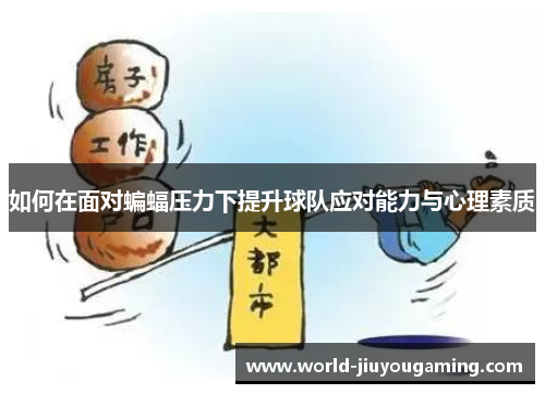 如何在面对蝙蝠压力下提升球队应对能力与心理素质