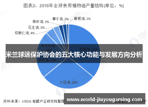 米兰球迷保护协会的五大核心功能与发展方向分析 米兰球迷保护协会的五大核心功能与发展方向分析
