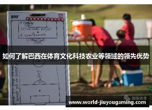 如何了解巴西在体育文化科技农业等领域的领先优势 如何了解巴西在体育文化科技农业等领域的领先优势