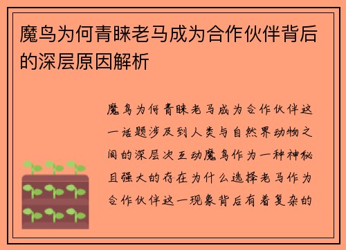 魔鸟为何青睐老马成为合作伙伴背后的深层原因解析 魔鸟为何青睐老马成为合作伙伴背后的深层原因解析