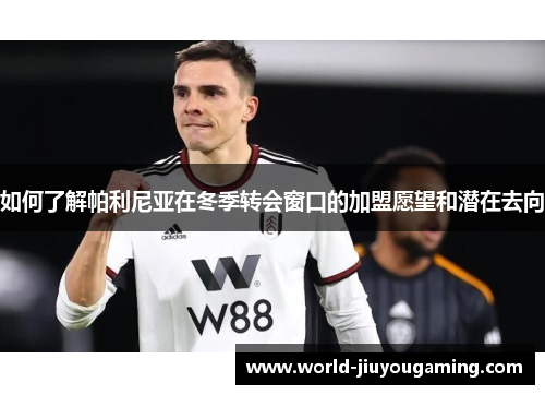 如何了解帕利尼亚在冬季转会窗口的加盟愿望和潜在去向