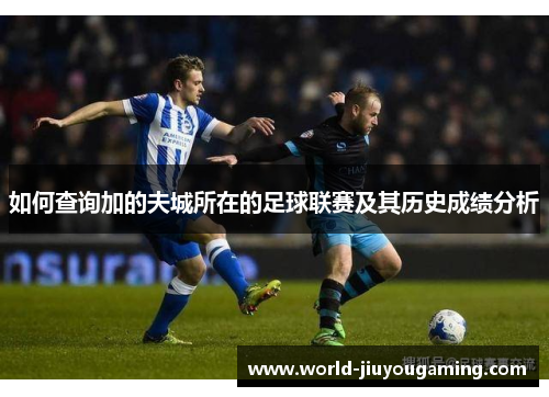 如何查询加的夫城所在的足球联赛及其历史成绩分析