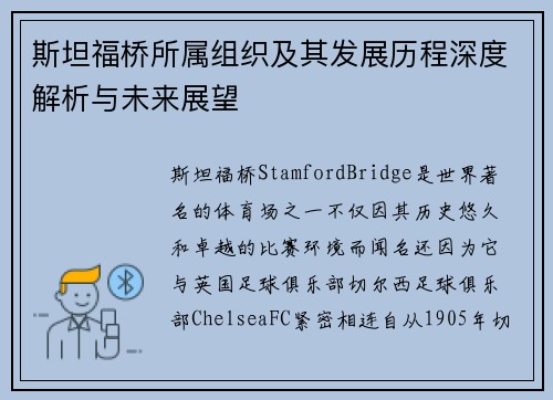 斯坦福桥所属组织及其发展历程深度解析与未来展望